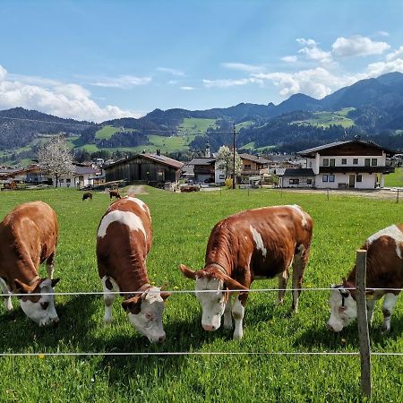 Ferienhaus Weberhof Reith im Alpbachtal Exterior foto