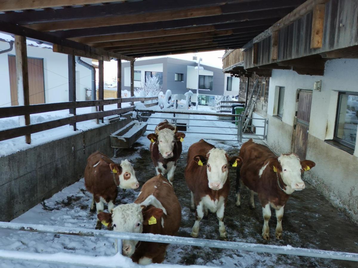 Ferienhaus Weberhof Reith im Alpbachtal Exterior foto